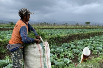 Meramu kehidupan sederhana petani jadi daya tarik wisata edukasi