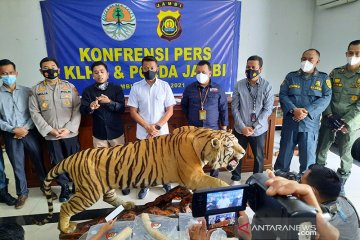 KLHK dan Polda Jambi tangkap penjual opsetan Harimau Sumatera