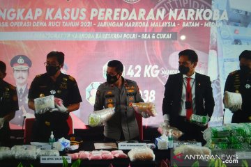 Polri-BC ungkap peredaran narkoba jaringan Sumatera-Malaysia