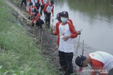 TAGANA tanam 2,7 juta mangrove minimalisir dampak "megathrust"