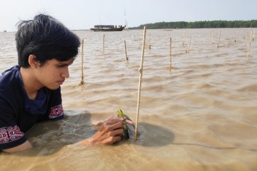 UI lakukan penanaman bakau untuk konservasi Lutung Jawa di Bekasi