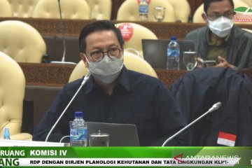 Pelanggar aturan kehutanan hadapi sanksi pemblokiran hingga penahanan