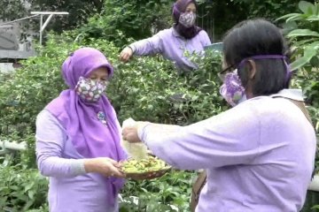 Bangkitkan wanita lewat tanaman hidroponik