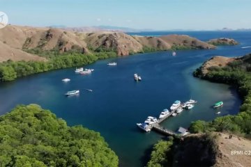 Meski dibatasi, berwisata di Pulau Komodo tetap dapat dinikmati