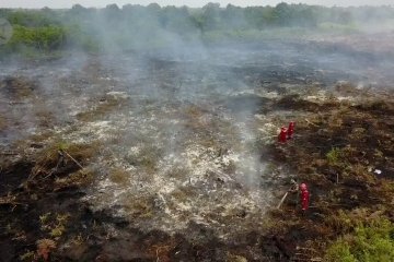 Karhutla di Riau hanguskan 811 hektar lahan