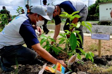 Peringati hari air sedunia, Bangka tanam 250 pohon buah