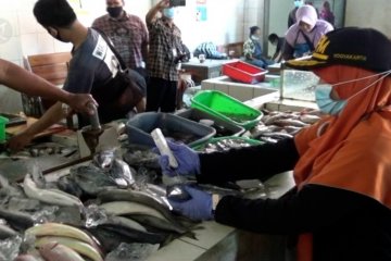 BKIPM DIY berikan penyuluhan ikan sehat bagi pedagang pasar tradisional
