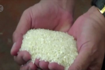 Ombudsman duga terjadi maladministrasi dalam kebijakan impor beras