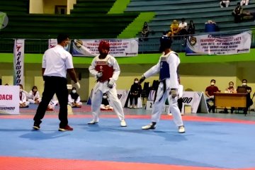 Kejuaraan taekwondo, ajang perdana Pemprov Babel di era kebiasaan baru 