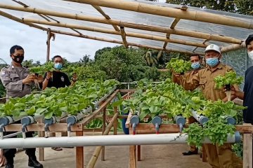 Pemkot Cilegon dorong pemanfaatan lahan sistem hidroponik