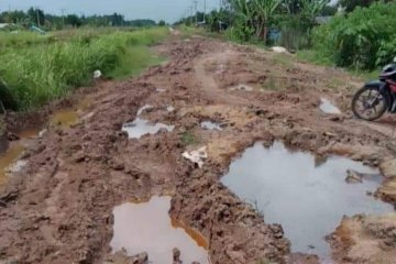 Kondisi Jalan PUPR .Mesuji