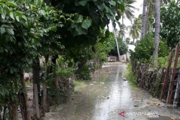 Puluhan rumah warga Kabupaten Kupang diterjang gelombang pasang