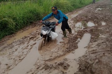 Jalan Rusak berlumpur di Desa Sumber Makmur, penghubung ke Desa Mulya Sari, Kecamatan Mesuji, Kabupaten Mesuji, Lampung