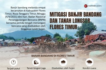 Mitigasi banjir bandang dan tanah longsor Flores Timur