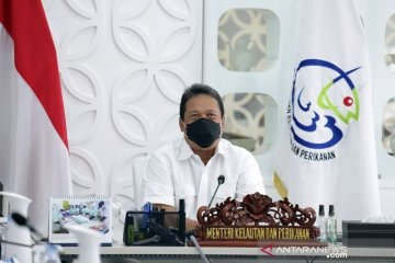 Menteri Trenggono: Aktivitas ekonomi di laut harus ramah lingkungan