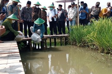 Wakil Ketua DPR Gus Ami apresiasi wisata rintisan desa di Tulungagung