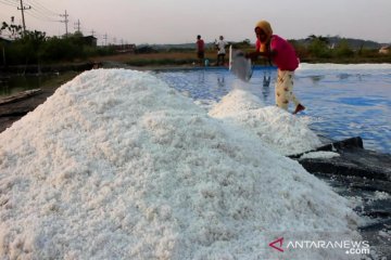 KPPU minta pemerintah wajibkan importir serahkan data impor garam