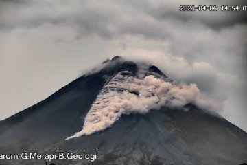 Awan panas guguran Gunung Merapi meluncur sejauh 1,2 km