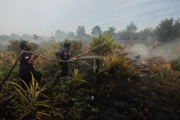 Penanganan ancaman Karhutla Kalteng disetarakan pandemi COVID-19