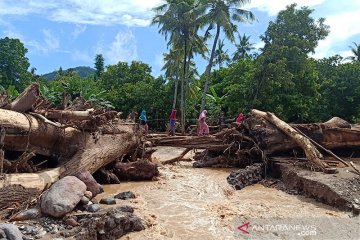 Tumpukan batang pohon memenuhi Kali Mati di Adonara Timur usai banjir