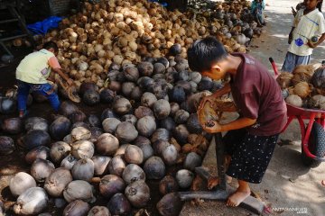Strategi menghapus pekerja anak di Indonesia