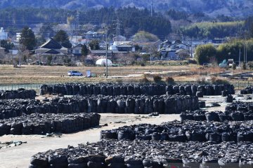 Jepang buang air terkontaminasi stasiun nuklir Fukushima ke laut
