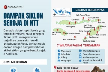 Dampak siklon Seroja di NTT