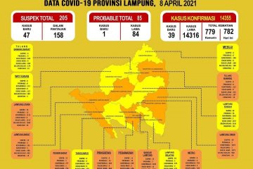 Jumlah pasien COVID-19 di Lampung bertambah 39