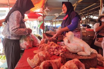 Harga daging ayam di Bengkulu naik jelang Ramadhan
