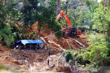 Walhi: Penambangan emas ilegal di Aceh Barat masih dibiarkan aparat