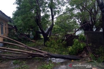 Sabu Raijua terus mendata kerusakan akibat badai Seroja