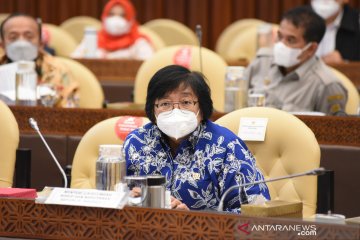 KLHK fokus tingkatkan rehabilitasi mangrove dengan tambahan anggaran