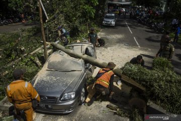 Angin kencang terjang Kota Bandung, lima mobil rusak berat