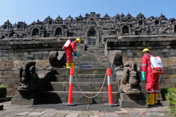 Perawatan Candi Borobudur dengan minyak serai wangi