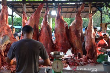 Daging Naik Drastis Jelang Tradisi Meugang Ramadhan
