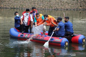 Pemkot Jaksel tebar 10 ribu benih ikan nila di Waduk Prapanca