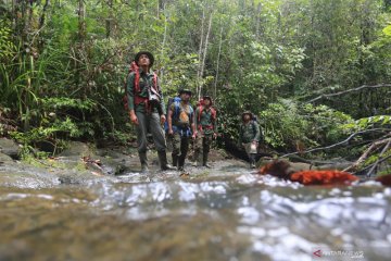 Patroli perlindungan satwa liar di Kawasan Ekosistem Leuser