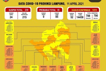 Dinkes catat pasien COVID-19 di Lampung bertambah jadi 14.510