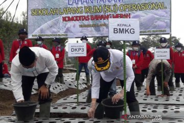 Sekolah lapang iklim solusi adaptasi perubahan cuaca sektor pertanian