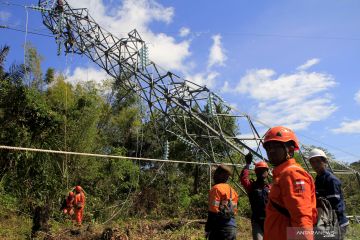 PLN gerak cepat pulihkan kelistrikan Pulau Bangka dampak tower roboh