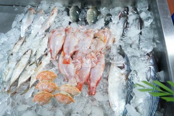 KKP ajak masyarakat konsumsi ikan penuhi asupan protein saat puasa
