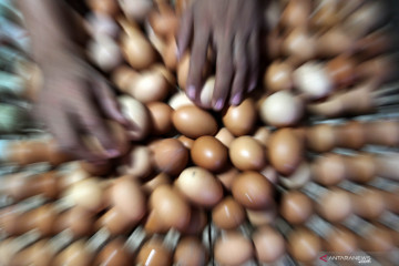 BPS: penurunan harga telur ayam picu deflasi pada September 2021