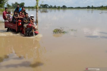 Banjir luapan Sungai Madiun rendam Ngawi