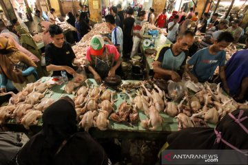 Mendag: Harga ayam fluktuatif saat Ramadhan
