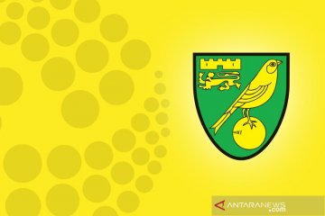 Norwich kunci tiket promosi berkat hasil tim-tim pesaing