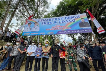 250 ribu benih ikan dan udang ditebar di Sungai Malinau