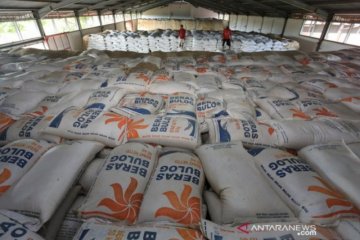 Stok beras 1,2 juta ton, Bulog pastikan tak perlu impor