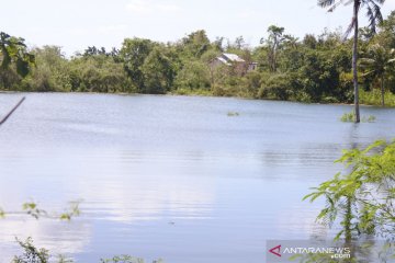 Tim peneliti selidiki danau baru yang terbentuk di Kota Kupang