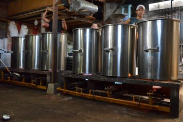 Produksi Cincau Selama Ramadhan