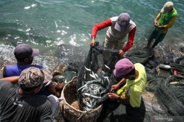 Bappenas ungkap belum ada sinergitas pembangunan kelautan perikanan